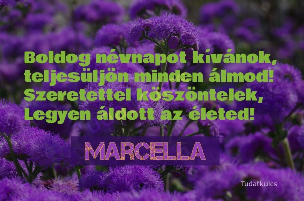 01.31 Marcella