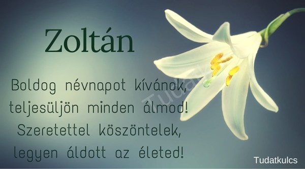 03.08 Zoltán