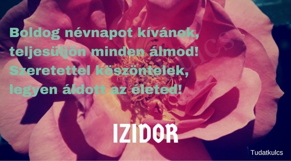 04.04 Izidor