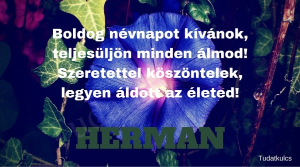 04.07 Herman